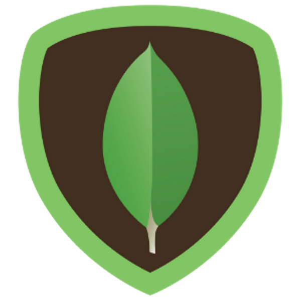 mongoDB
